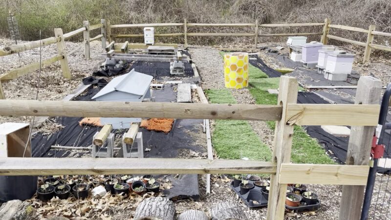 Wildflower Trail - Millersville, MD