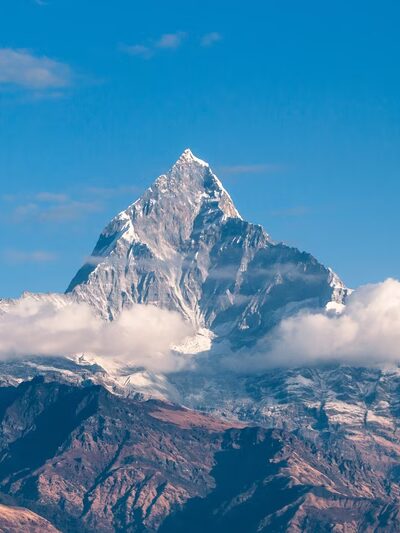 Wildflower Trail - Millersville, MD