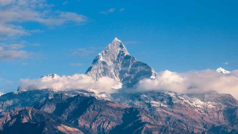 Wildflower Trail - Millersville, MD