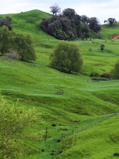 Wildflower Trail - Millersville, MD
