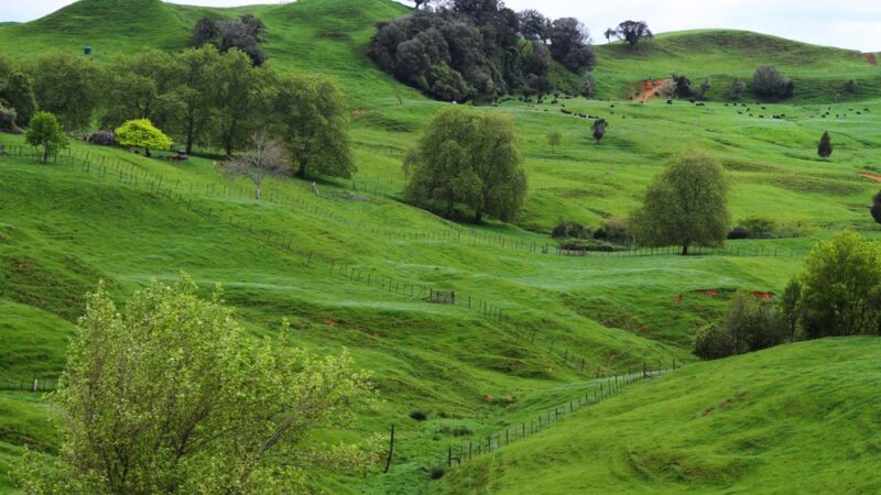 Wildflower Trail - Millersville, MD