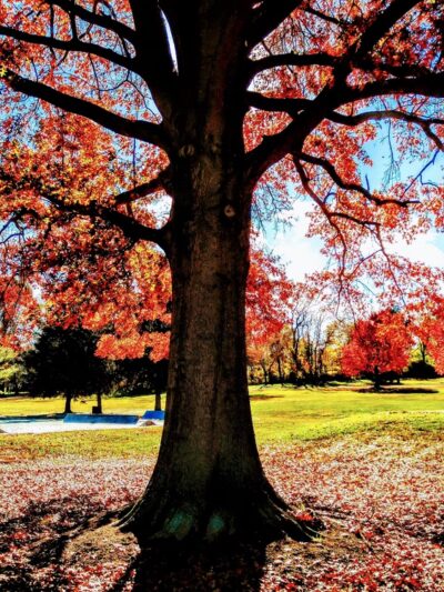 Freedom Memorial Park - Millersville, PA
