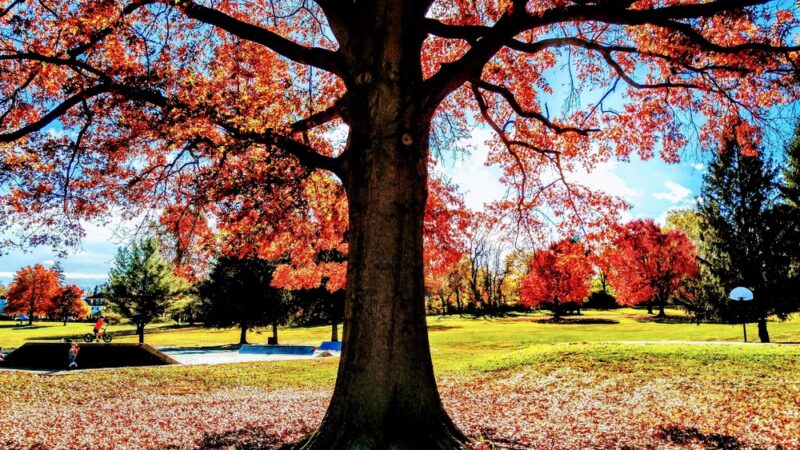 Freedom Memorial Park - Millersville, PA