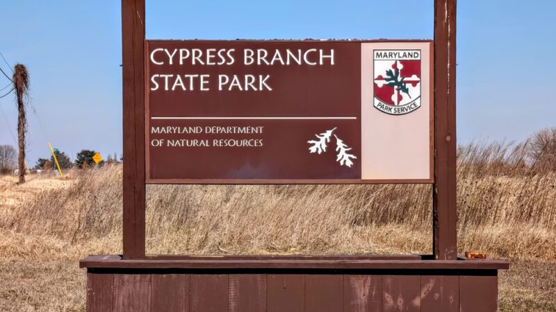 Cypress Branch State Park - Millington, MD