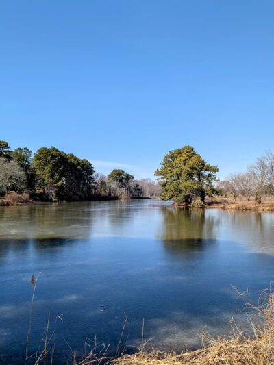 Cypress Branch State Park - Millington, MD