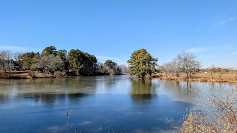 Cypress Branch State Park - Millington, MD