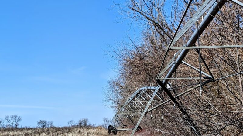 Cypress Branch State Park - Millington, MD