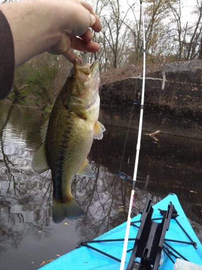Waterfront Park - Millington, MD