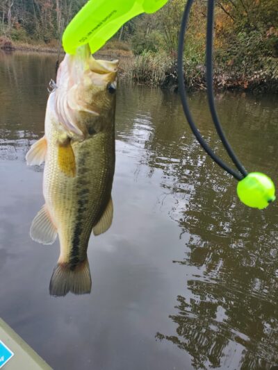 Waterfront Park - Millington, MD