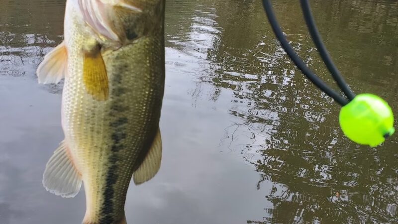 Waterfront Park - Millington, MD