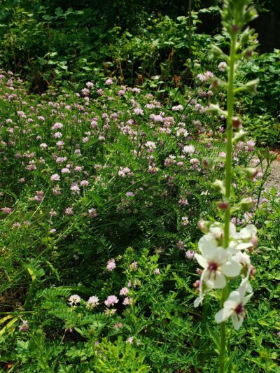 Millvale Riverfront Park - Millvale, PA