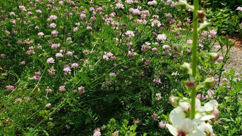 Millvale Riverfront Park - Millvale, PA