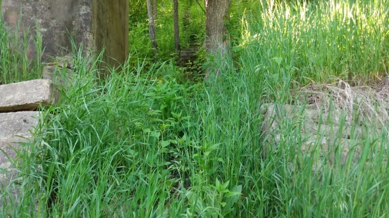 Millville City Park - Millville, MN