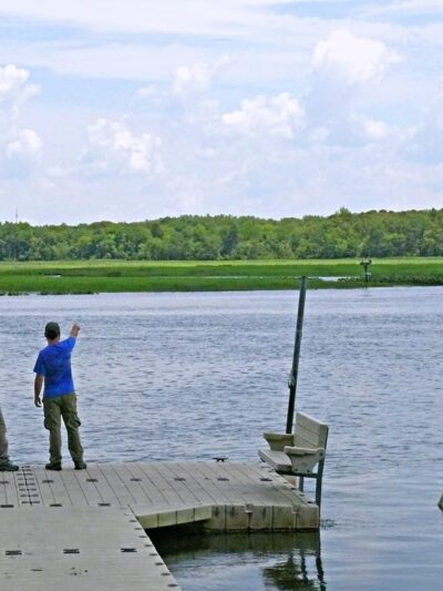 Maurice River Bluffs Preserve - Millville, NJ