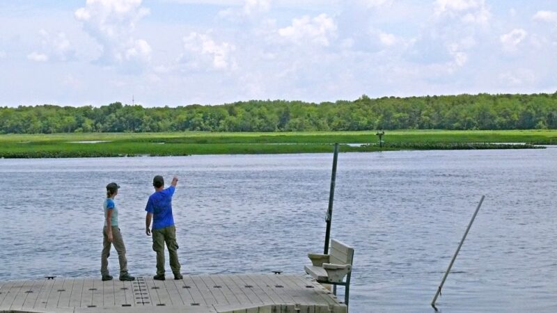Maurice River Bluffs Preserve - Millville, NJ