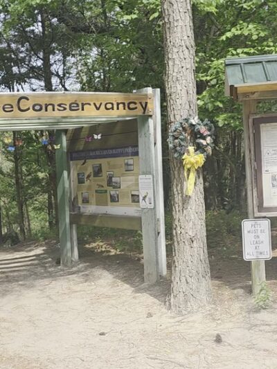 Maurice River Bluffs Preserve - Millville, NJ