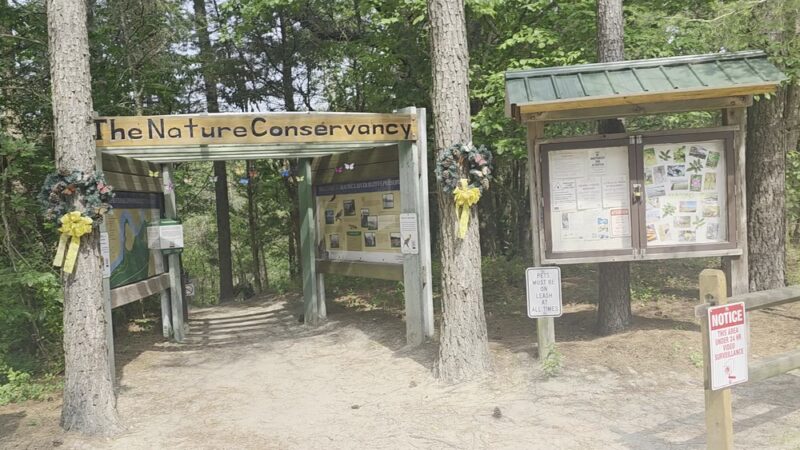 Maurice River Bluffs Preserve - Millville, NJ