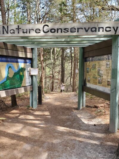 Maurice River Bluffs Preserve - Millville, NJ
