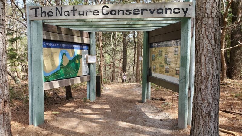 Maurice River Bluffs Preserve - Millville, NJ
