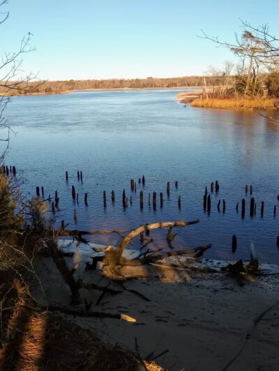 Maurice River Bluffs Preserve - Millville, NJ