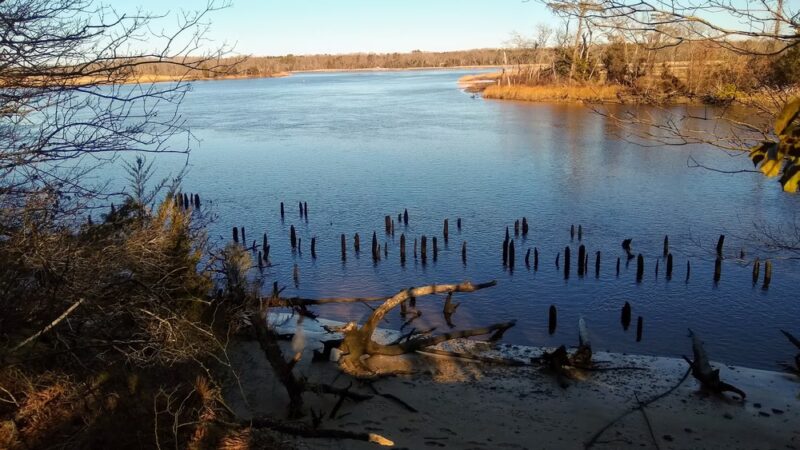 Maurice River Bluffs Preserve - Millville, NJ