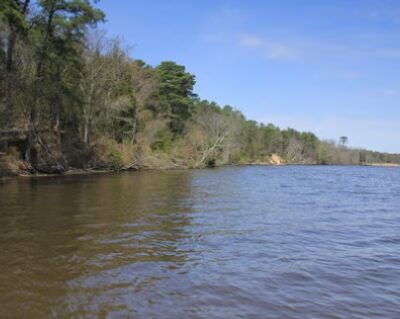 Maurice River Bluffs Preserve - Millville, NJ