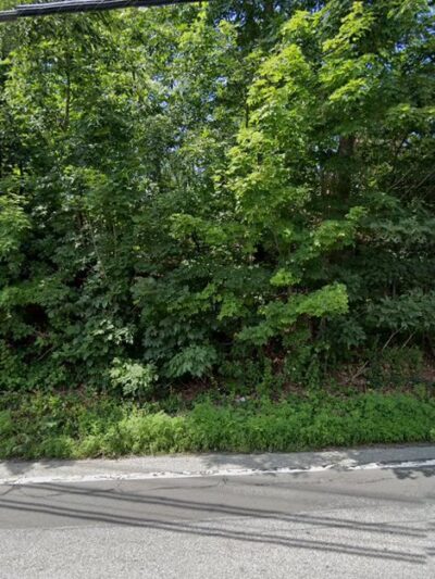 Millwood Park - Millwood, NY