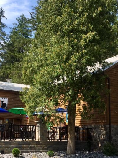 New Lancaster Valley Wilderness Lodge - Milroy, PA