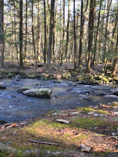Reeds Gap State Park - Milroy, PA