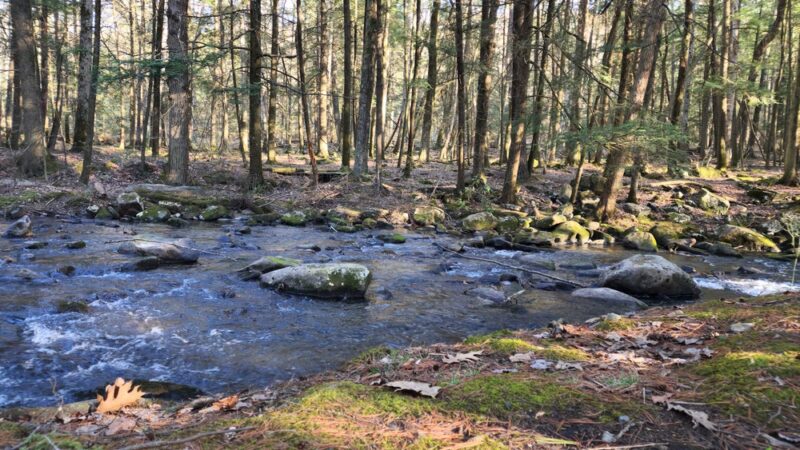 Reeds Gap State Park - Milroy, PA