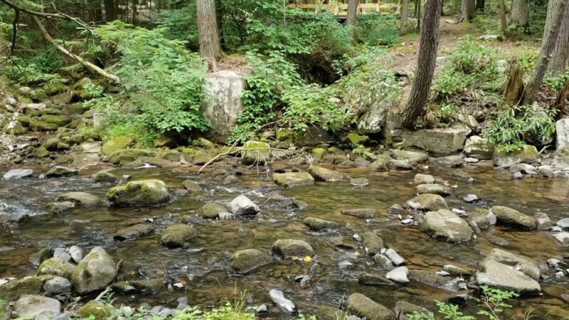 Reeds Gap State Park - Milroy, PA