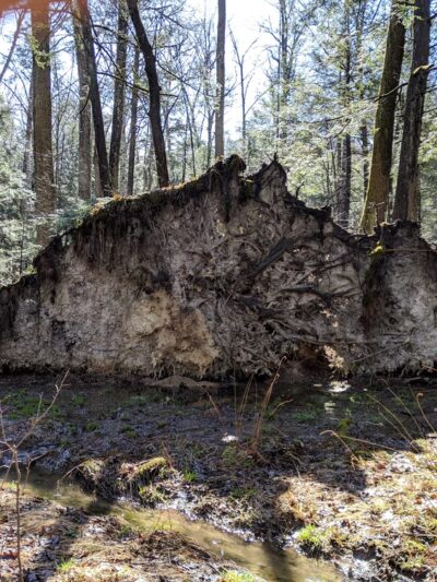 Reeds Gap State Park - Milroy, PA