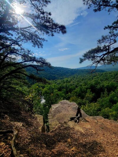 White Mountain Wild Area - Milroy, PA