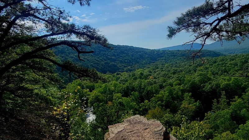 White Mountain Wild Area - Milroy, PA
