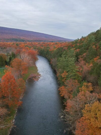 White Mountain Wild Area - Milroy, PA
