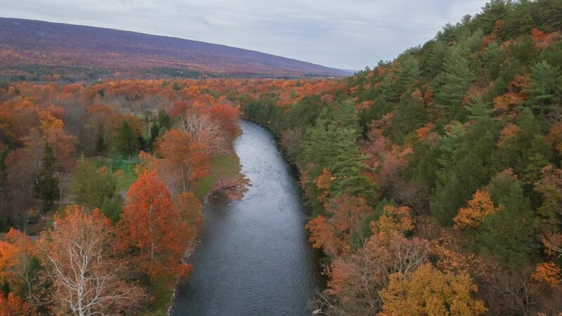 White Mountain Wild Area - Milroy, PA