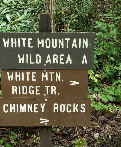 White Mountain Wild Area - Milroy, PA