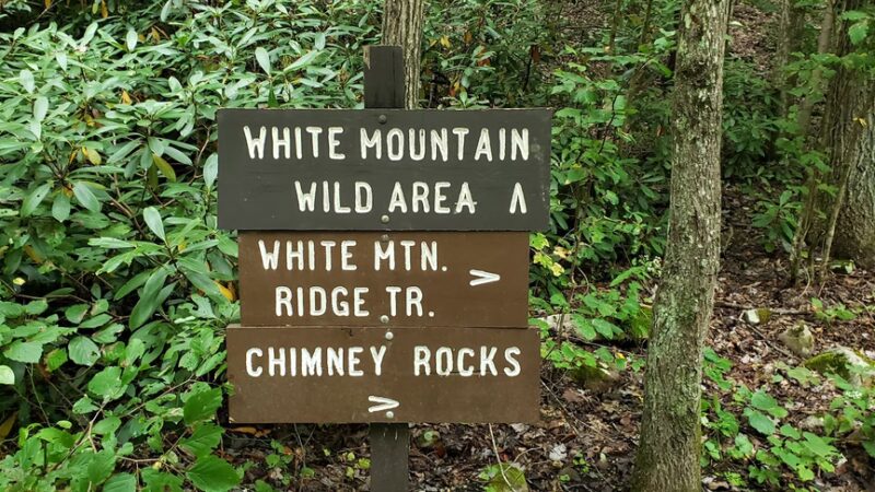 White Mountain Wild Area - Milroy, PA