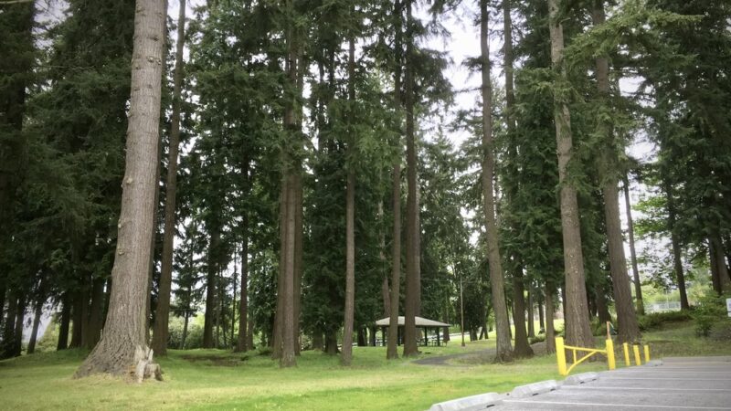 Milton Community Park - Milton, WA