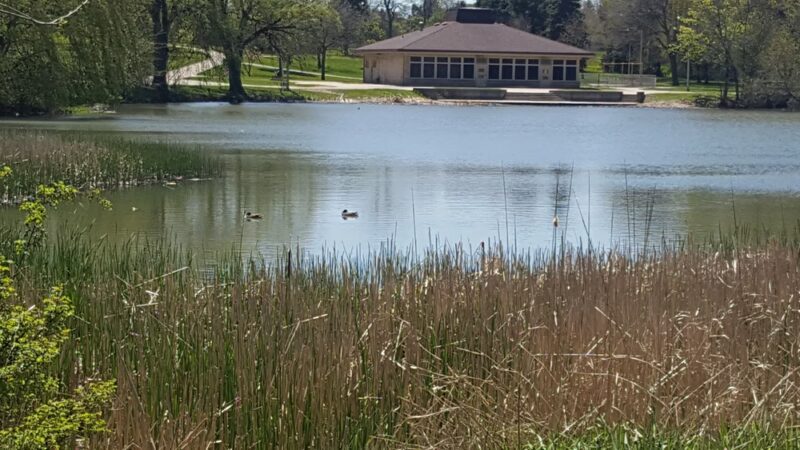 Dineen Park - Milwaukee, WI