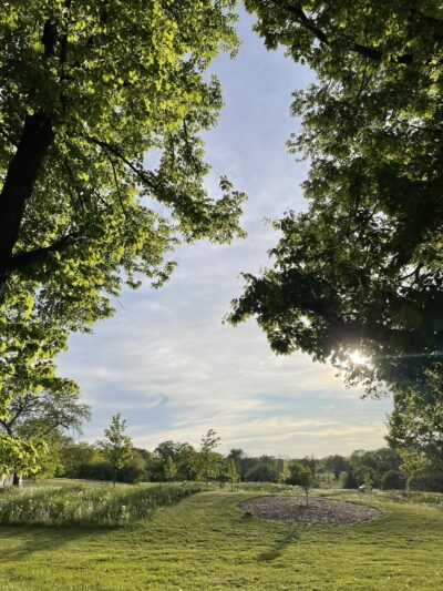 Dineen Park - Milwaukee, WI