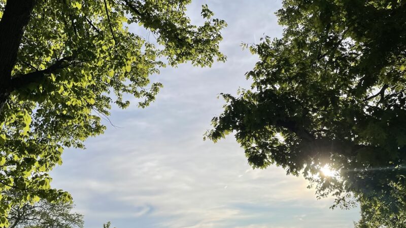 Dineen Park - Milwaukee, WI