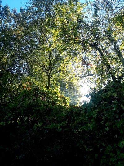 Doyne Park - Milwaukee, WI