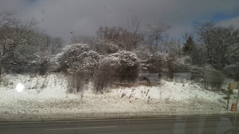 Doyne Park - Milwaukee, WI