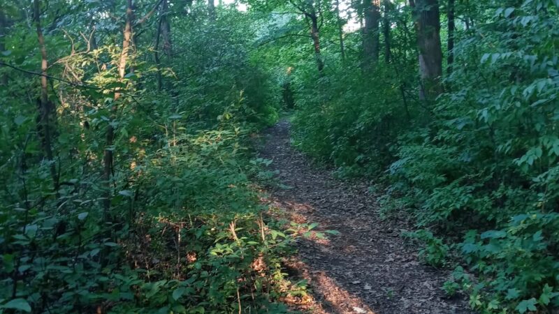McGovern Park - Milwaukee, WI
