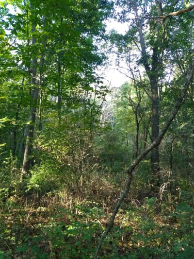 Mindoro Park - Mindoro, WI