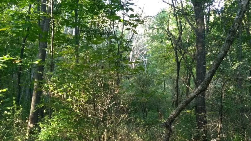 Mindoro Park - Mindoro, WI