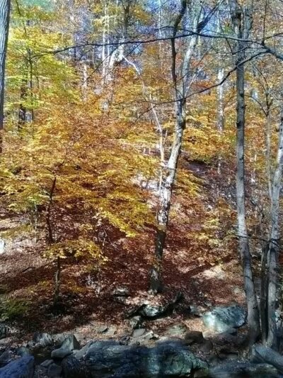 Softball Field - Mine Hill - Mine Hill Township, NJ