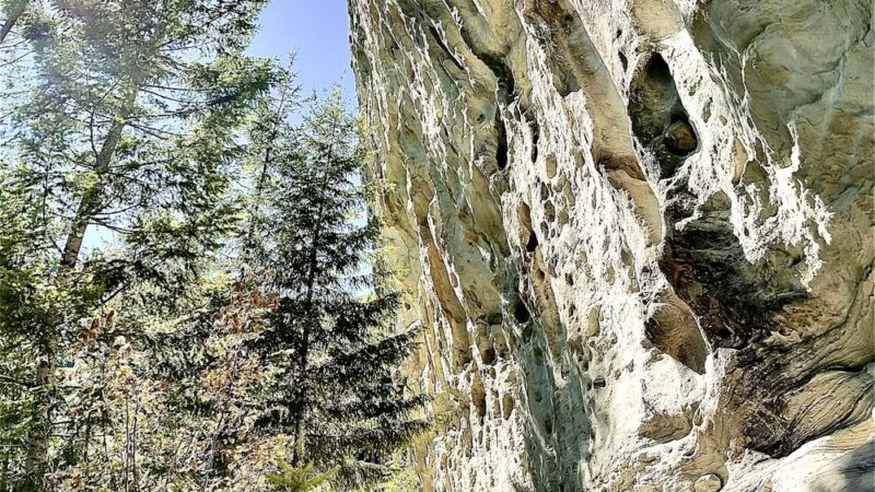 Mineral Rock - Mineral, WA