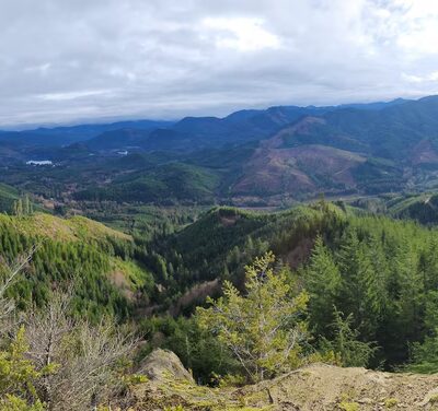 Mineral Rock - Mineral, WA